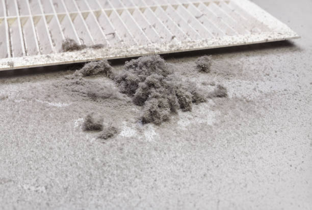 Best Residential Air Duct Cleaning  in Ashburn, GA